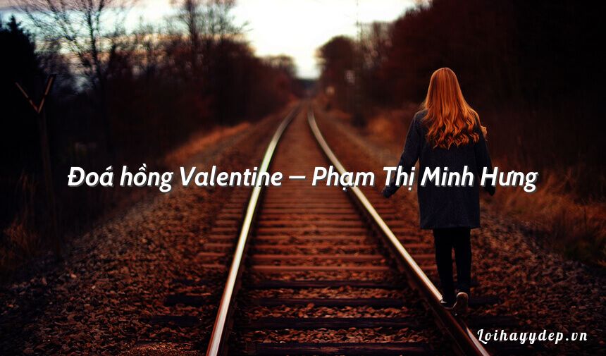 Đoá hồng Valentine – Phạm Thị Minh Hưng